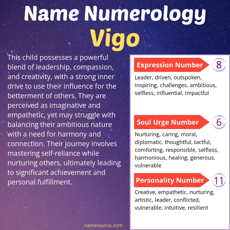 numerology of the name vigo.