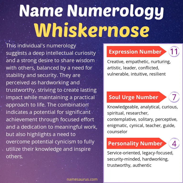 numerology of the name whiskernose.