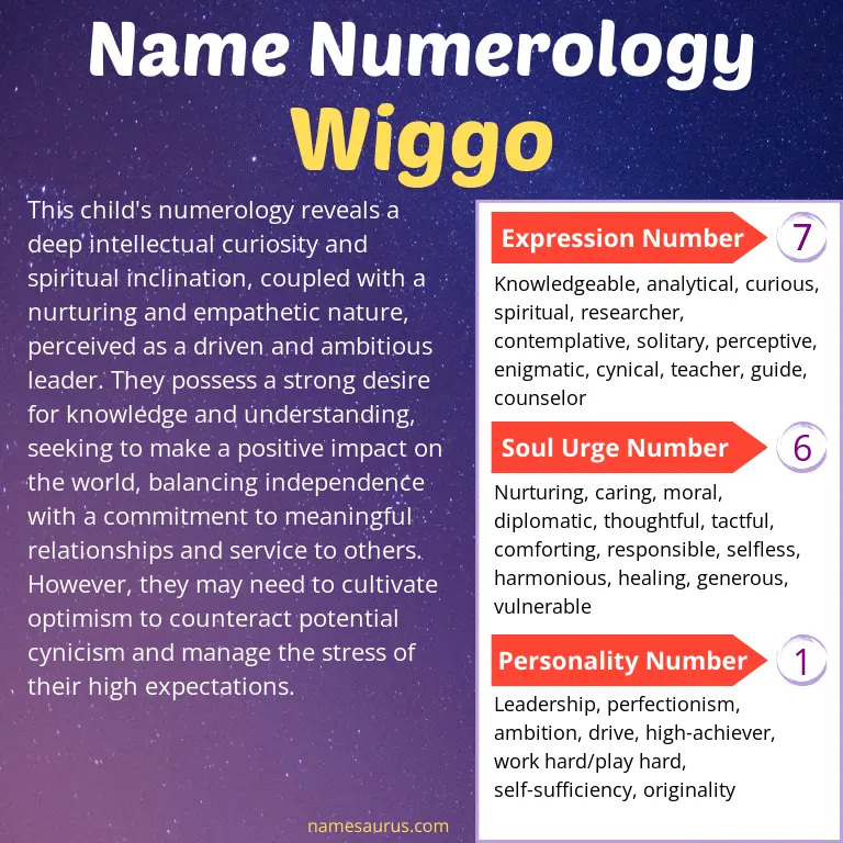 numerology of the name wiggo.
