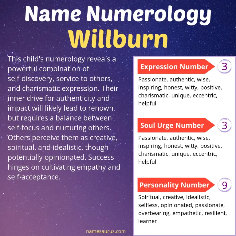 numerology of the name willburn.