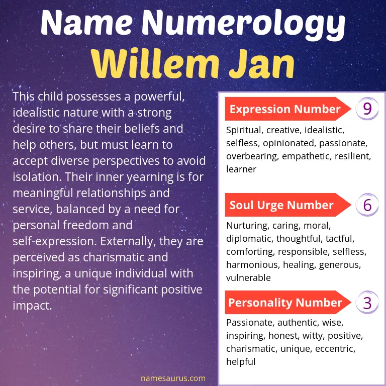 numerology of the name willem jan.