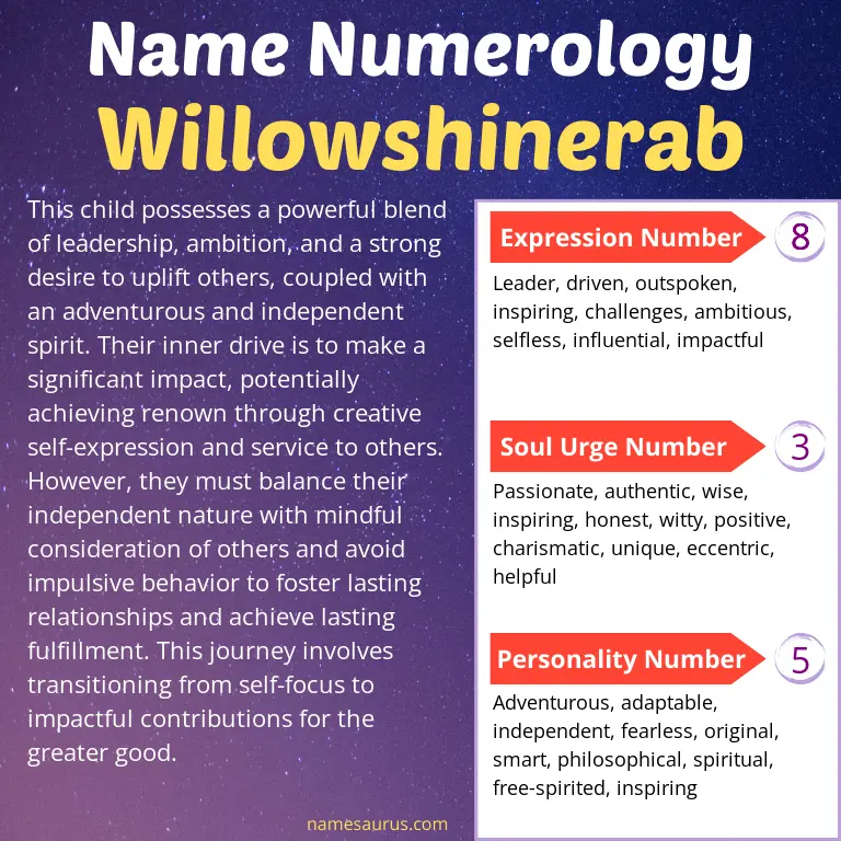 numerology of the name willowshinerab.