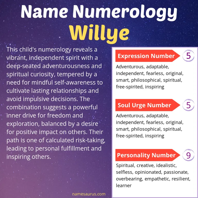 numerology of the name willye.