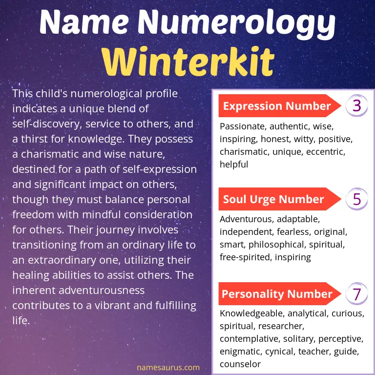 numerology of the name winterkit.