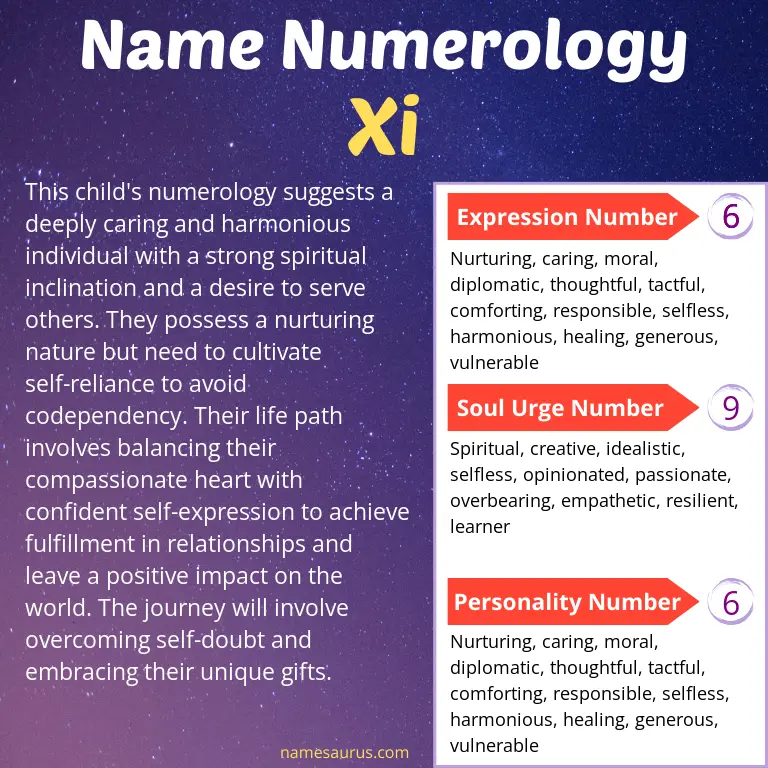 numerology of the name xi.