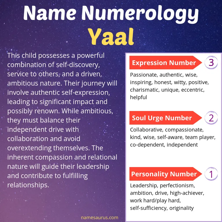 numerology of the name yaal.