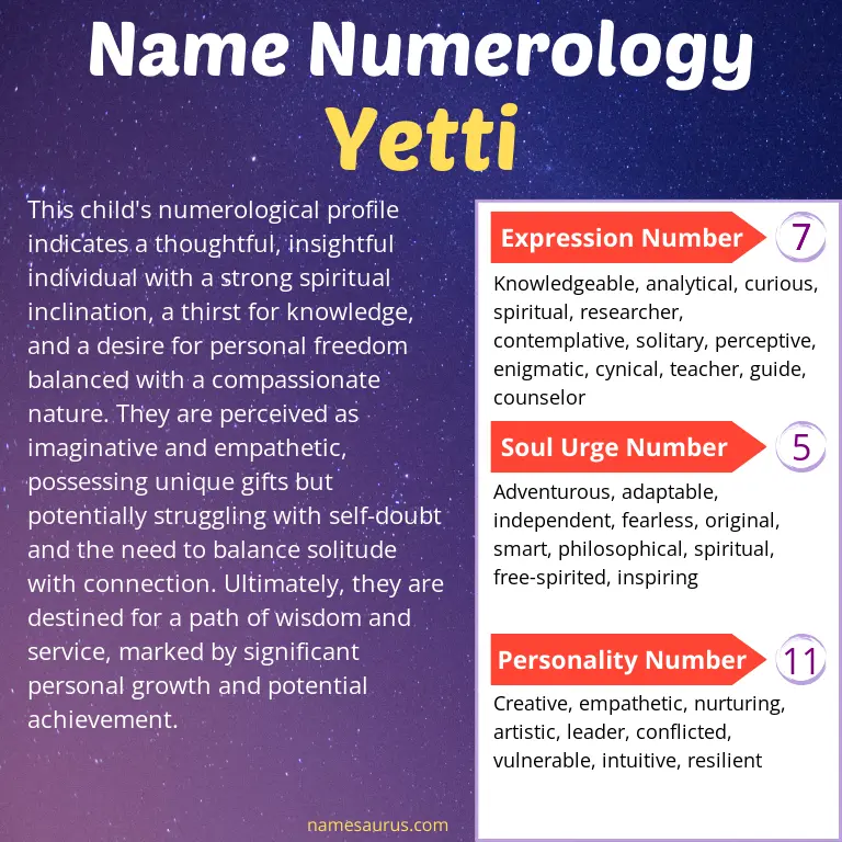 numerology of the name yetti.