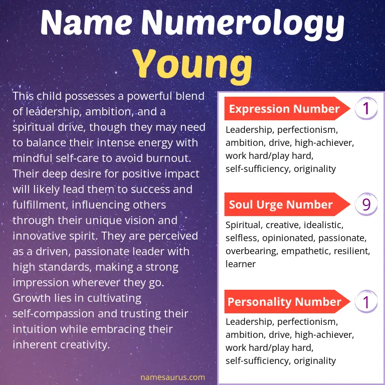 numerology of the name young.