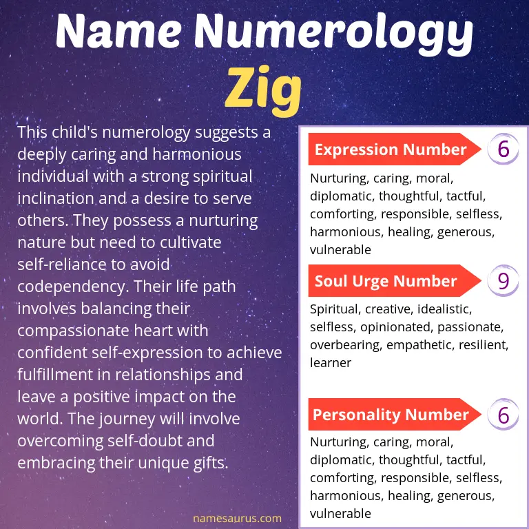 numerology of the name zig.