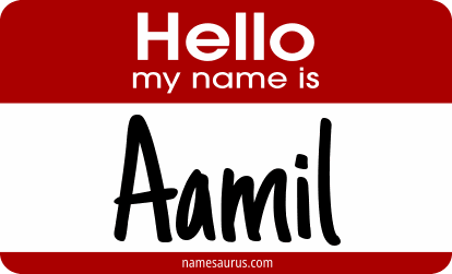Hello my name is Aamil png download