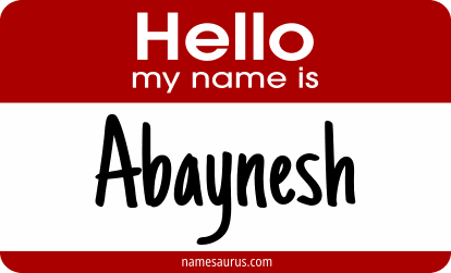Hello my name is Abaynesh png download