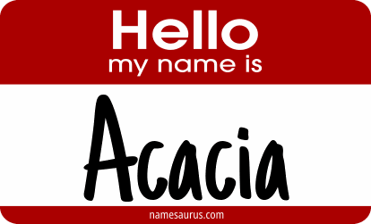Hello my name is Acacia png download