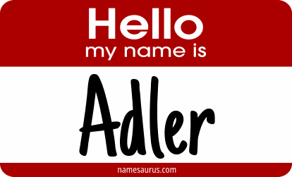 Hello my name is Adler png download