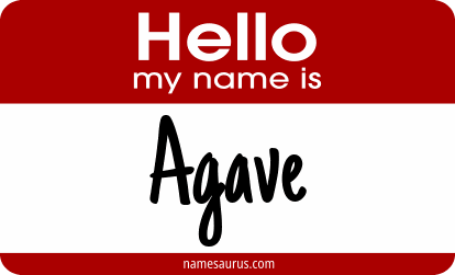 Hello my name is Agave png download