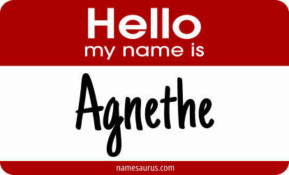 Hello my name is Agnethe png download