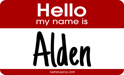 Hello my name is Alden png download