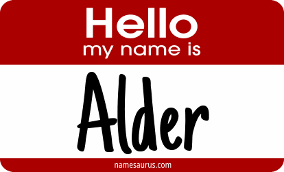 Hello my name is Alder png download
