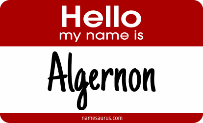 Hello my name is Algernon png download