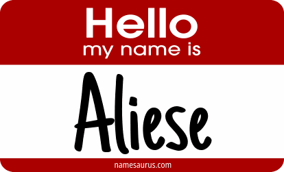 Hello my name is Aliese png download