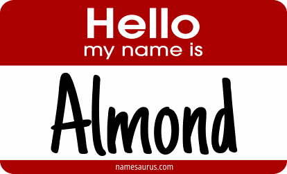 Hello my name is Almond png download