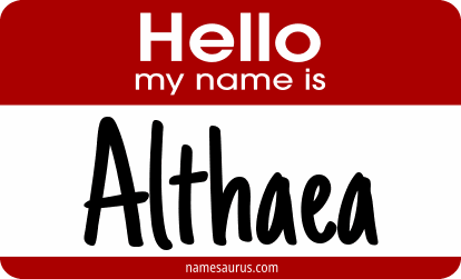 Hello my name is Althaea png download
