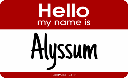 Hello my name is Alyssum png download
