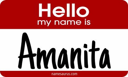 Hello my name is Amanita png download