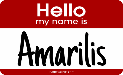 Hello my name is Amarilis png download