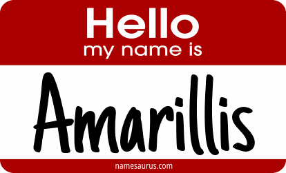 Hello my name is Amarillis png download