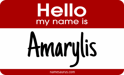 Hello my name is Amarylis png download