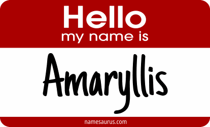 Hello my name is Amaryllis png download