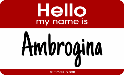 Hello my name is Ambrogina png download