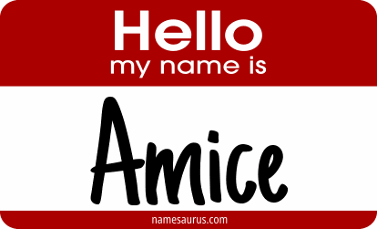 Hello my name is Amice png download