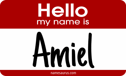Hello my name is Amiel png download