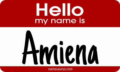 Hello my name is Amiena png download