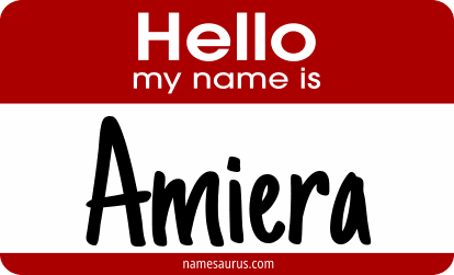 Hello my name is Amiera png download