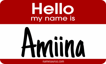Hello my name is Amiina png download