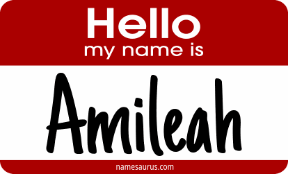 Hello my name is Amileah png download
