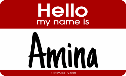 Hello my name is Amina png download