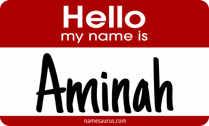 Hello my name is Aminah png download