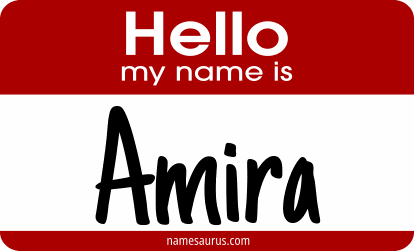 Hello my name is Amira png download