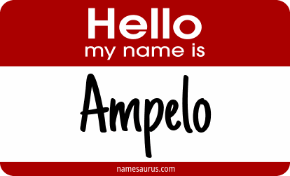 Hello my name is Ampelo png download