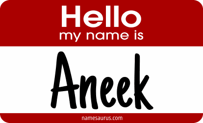 Hello my name is Aneek png download