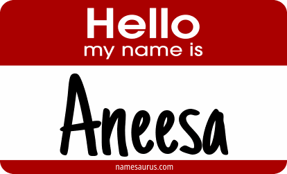 Hello my name is Aneesa png download