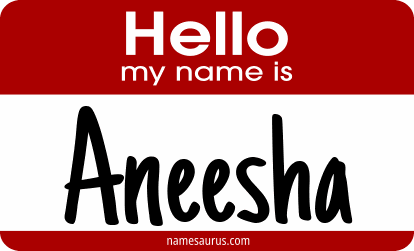 Hello my name is Aneesha png download