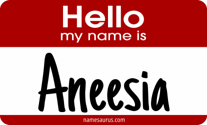Hello my name is Aneesia png download