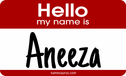 Hello my name is Aneeza png download