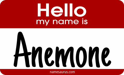 Hello my name is Anemone png download