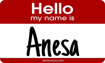 Hello my name is Anesa png download