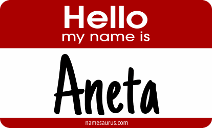 Hello my name is Aneta png download